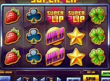 Types of Online Slot Tournaments